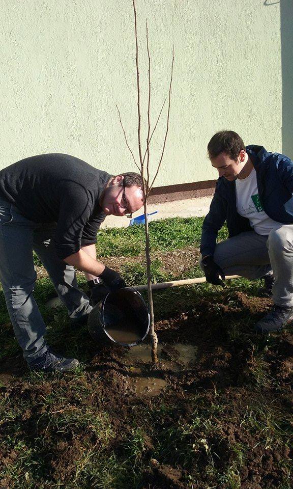 Gradinite Sibiu Preview 1